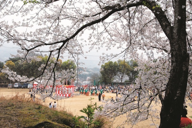 向山公園桜まつり