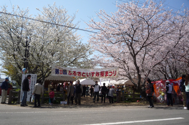 第36回いずみ桜まつり