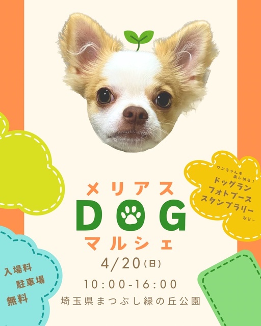 Meryas Dog Marche in Matsubushi Midori no Oka Park, Saitama Prefecture