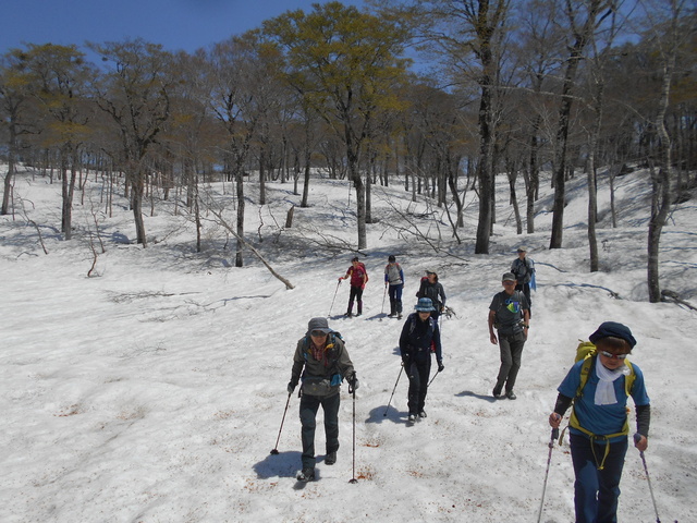 Walk the Shinetsu Trail with Remaining Snow
