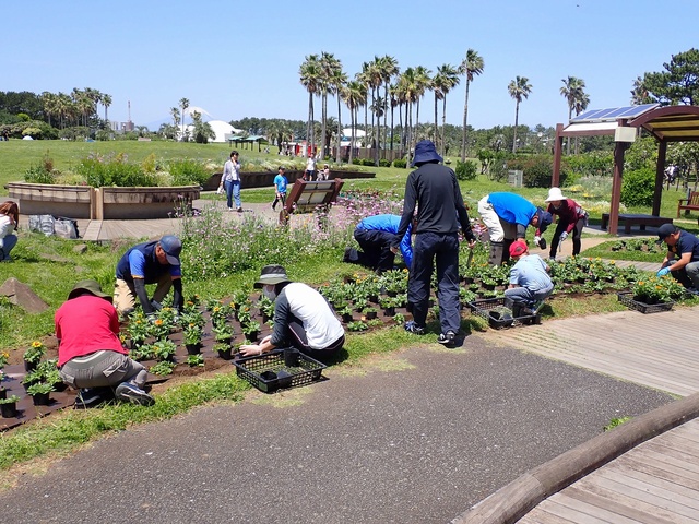 みんなで公園に花を植えて　お家に飾る寄せ植えもつくろう！