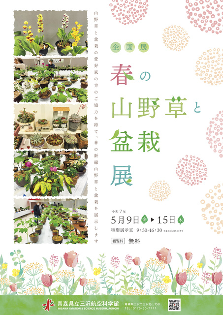 Special Exhibition "Spring Wild Flowers and Bonsai"
