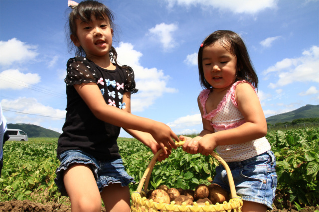 Rusutsu Resort Fresh Vegetable Munching Experience