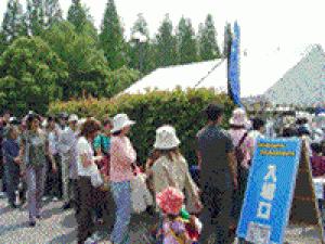 Swap Meet in Flower Expo Park Special (September)