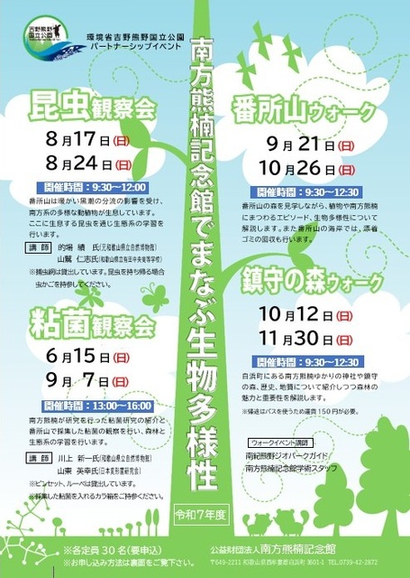 Biodiversity Learning Walk in the Guardian Forest at the Nankai Kumagusu Memorial Museum