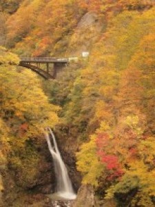【紅葉・見ごろ】関温泉 不動滝