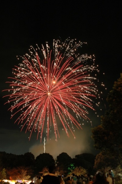 Takagi Kannonike Festival Fireworks Display