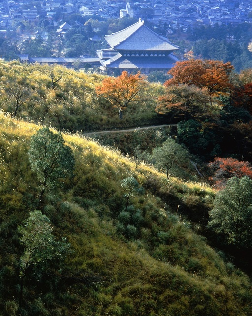 120th Anniversary of Taikichi Irie, Selected Works: 'Spring, Summer, Autumn, and Winter of the Yamato Road'
