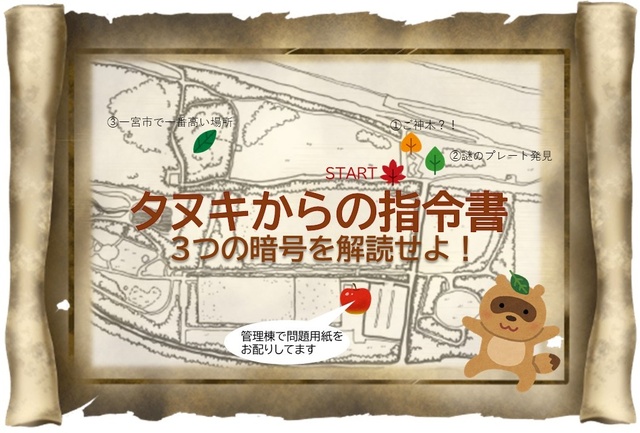 Let's Decode the Tanuki's Mission