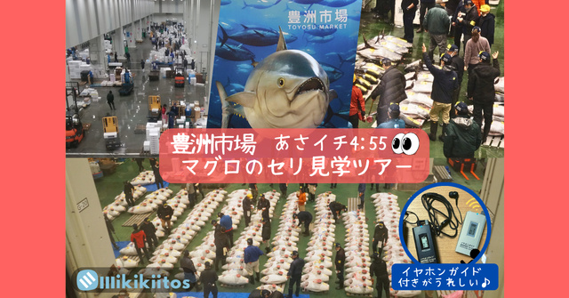 豊洲市場マグロのセリ見学ツアー 朝イチ4:55（7月）