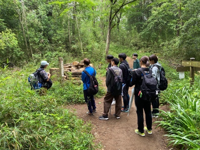 Short and Easy Tour - Tenran Mountain (August)