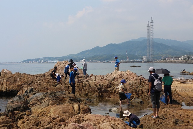Awaji Island National Akashi Kaikyo Park Parent-Child Seaside Creature Observation Event