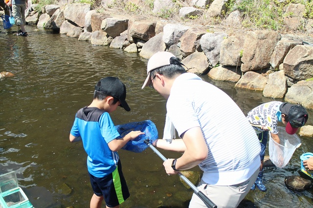 Awaji Island National Akashi Kaikyo Park Parent-Child Waterside Creatures Observation Event