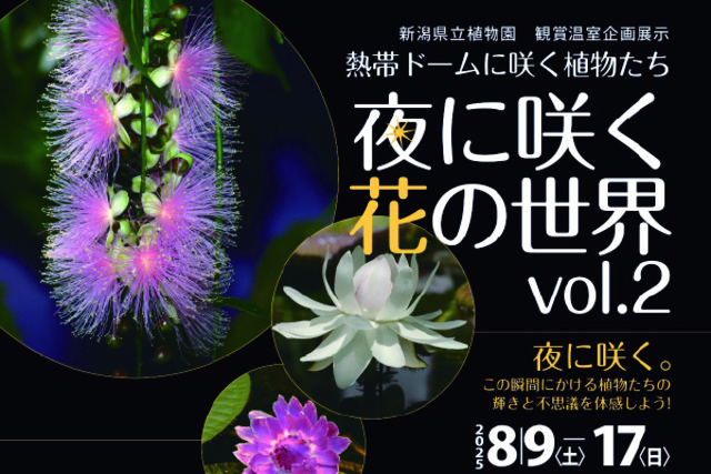 Special Exhibition 'Plants that Bloom in the Tropical Dome - A World of Flowers that Bloom at Night'