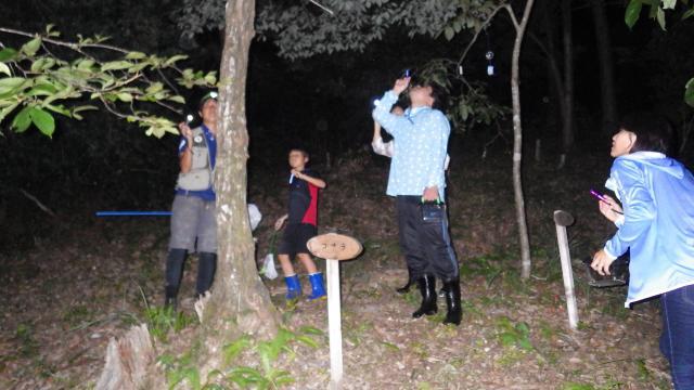 Night Forest Exploration Tour in Takumi no Mura