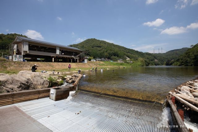 Kawaguchi Yana