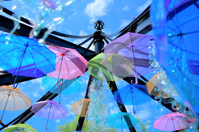 Summer Display in Mitsuke English Garden