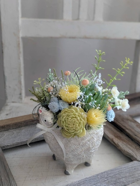 Dried Flower Class "hana Sedum"