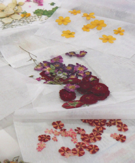 Pressed Flower Class (August)