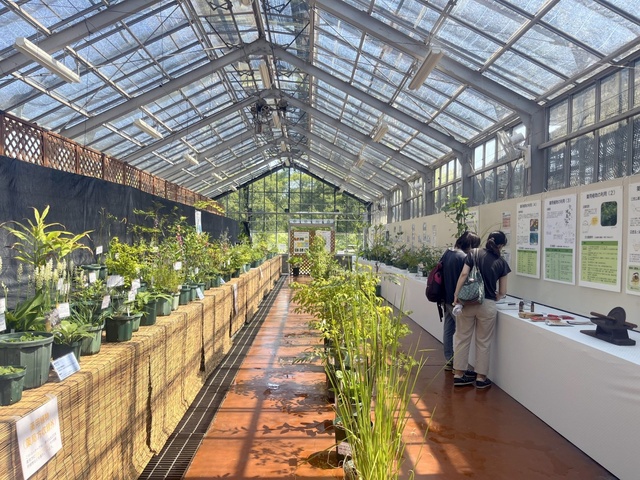 Autumn Medicinal Plants and Herb Exhibition