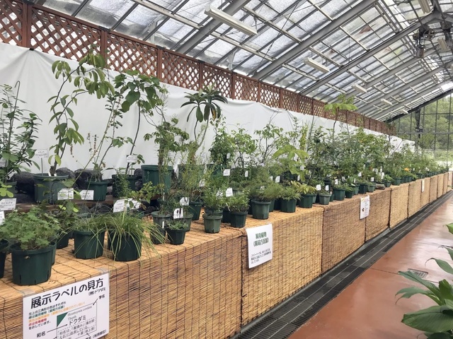 Explanation of the Autumn Medicinal Plants and Herbs Exhibition