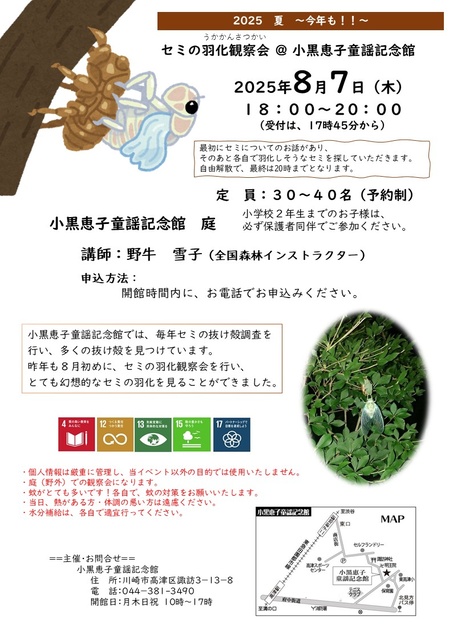Cicada Emergence Observation Event @ Keiko Oguro Children's Song Memorial Museum
