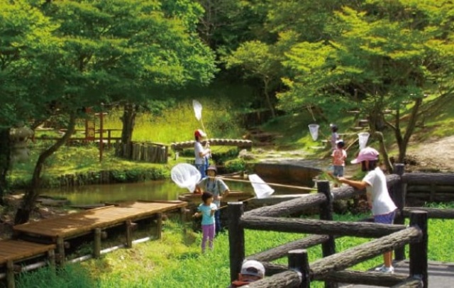 Searching for Red Dragonflies in the Furu-Sato! 