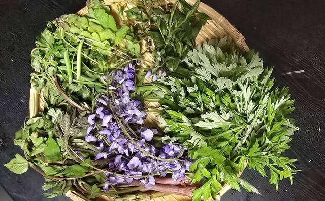 Nara Satoyama SUMMER Campaign 2025! From today, everyone is a Japanese herb scientist! Foraging and cooking with Japanese herbs♪