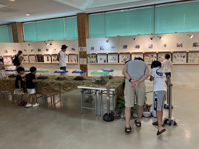 Mushi Mushi Museum 2025