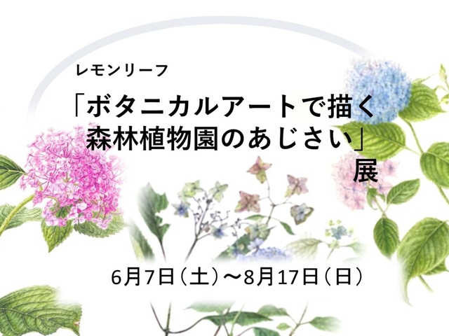 "Hydrangeas Depicted in Botanical Art" Exhibition