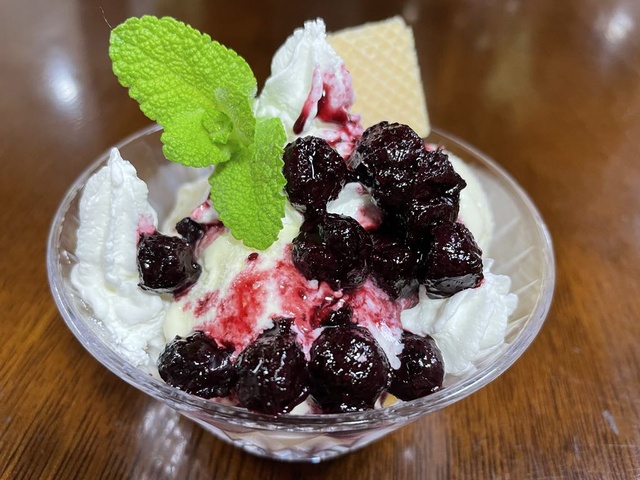 Nara Satoyama SUMMER Campaign 2025! Blueberry Picking Experience and Parfait Making