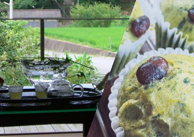 Nara Satoyama SUMMER Campaign 2025! Let's make steamed buns with tea leaves & tea tasting challenge
