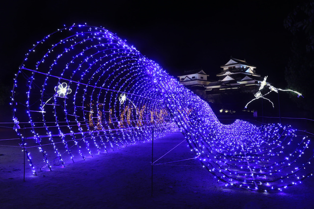 Light Hospitality in Matsuyama Castle 2025