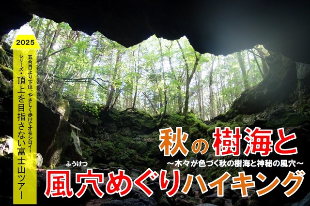 頂上を目指さない富士山ツアー2025「秋の樹海と風穴めぐりハイキング」