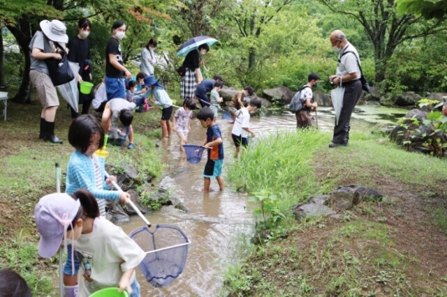 Aquatic Life Observation Event