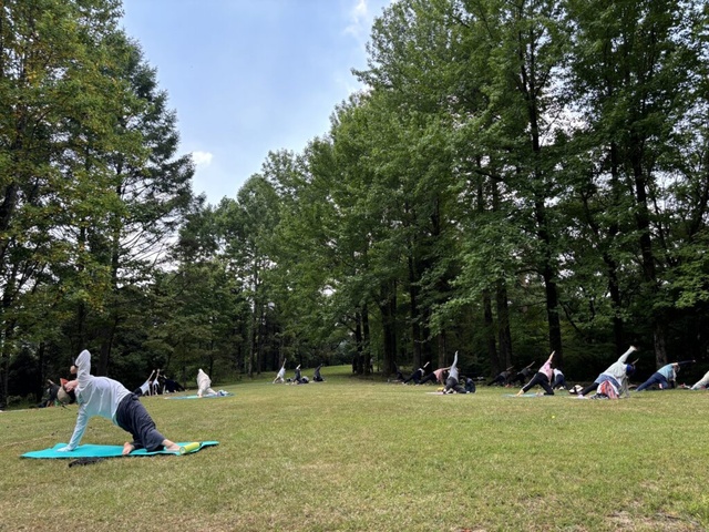 Forest Bathing Yoga ~Yoga in the Summer Shade~