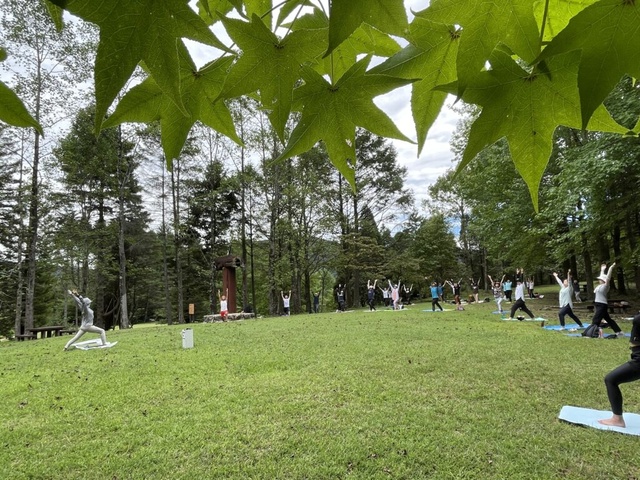 Forest Bathing Yoga - Yoga in the Cool Autumn Forest