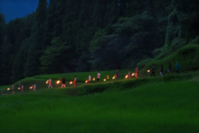 Iimi Rice Terrace Insect Sending