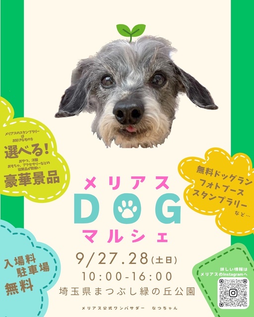 Merialus dog marche in Saitama Prefectural Matsubushi Green Hill Park