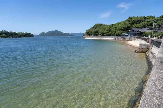 そうめん流しと盆踊り　小佐木島のお盆体験ツアー