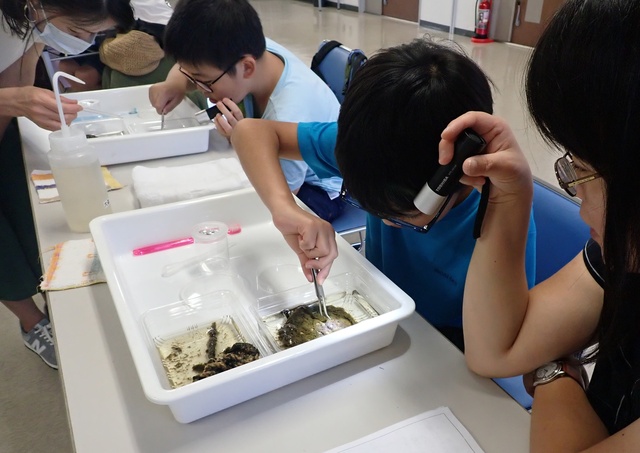 海のくっつく生き物を観察しよう
