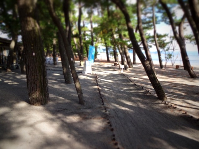 [Beach] Shigetomi Beach
