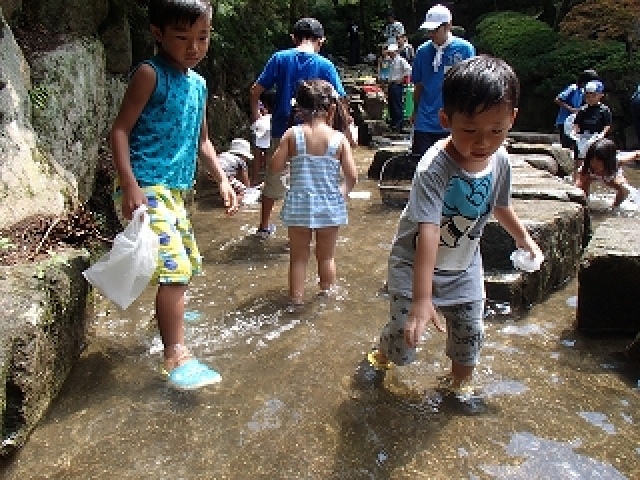 広島市森林公園 アユのつかみ取り