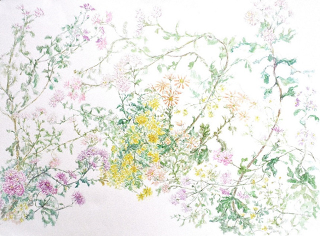 The 13th Watercolor Exhibition of Wildflowers and Garden Flowers