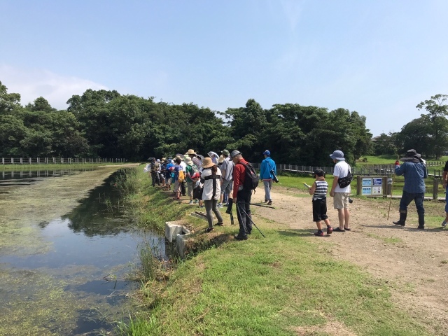第10回トンボ観察会