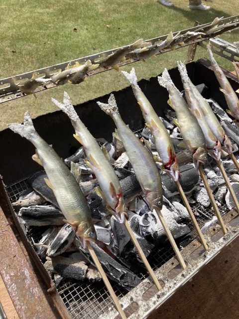 Sweetfish Catching & Grilled Fish