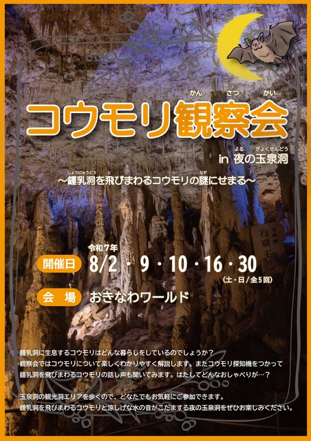 Bat Observation Event in Yagura Cave at Night