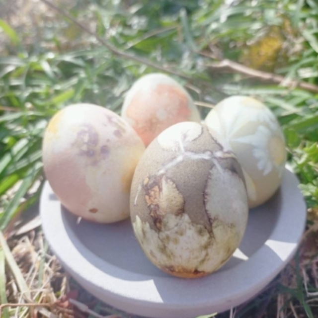 Dye Eggs!