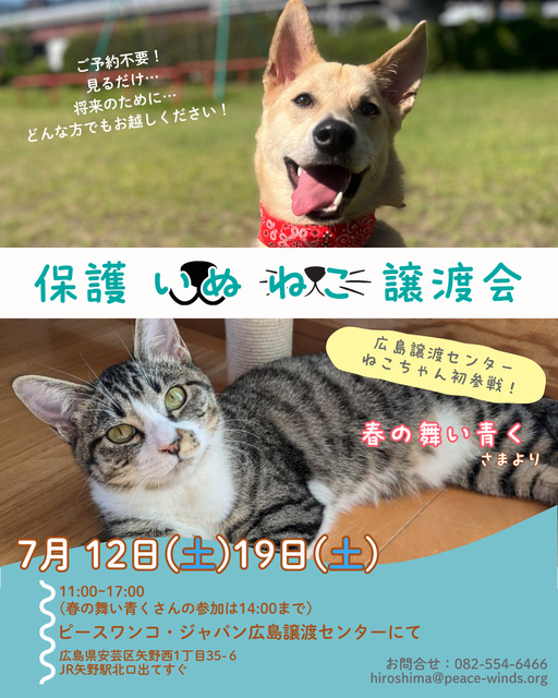 保護いぬねこ譲渡会