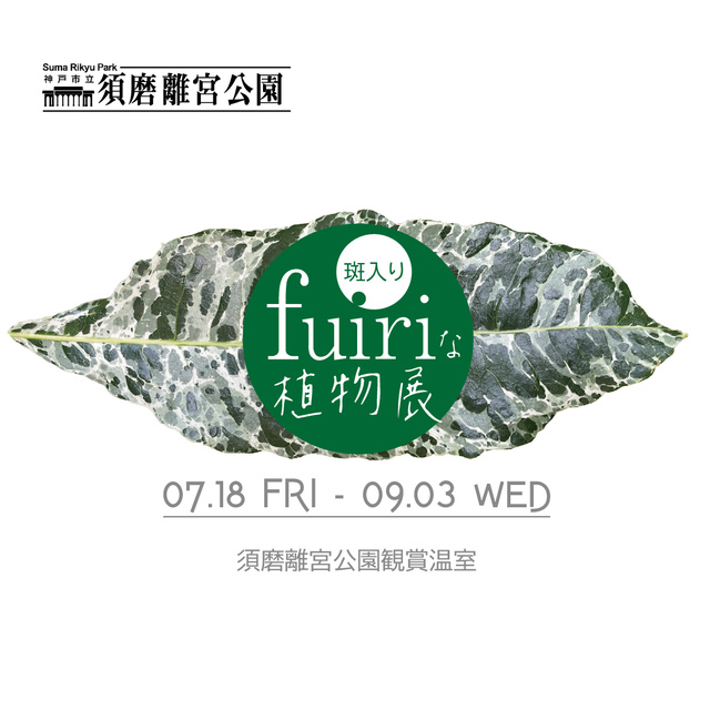 Variegated Plant Exhibition